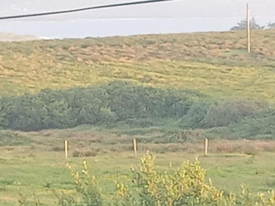Ceaser'S Cabin Is A Cosy 1 Bedroom Cabin Lahinch Luaran gambar