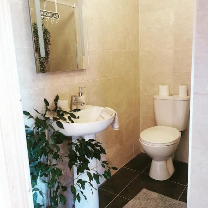 Ceaser'S Cabin Is A Cosy 1 Bedroom Cabin Lahinch Luaran gambar