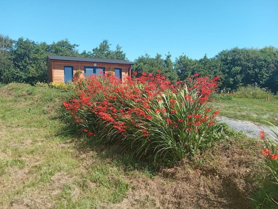 Ceaser'S Cabin Is A Cosy 1 Bedroom Cabin Lahinch Luaran gambar